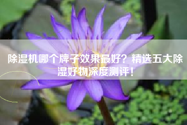 除湿机哪个牌子效果最好？精选五大除湿好物深度测评！