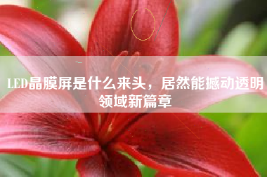 LED晶膜屏是什么来头，居然能撼动透明领域新篇章