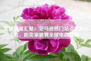 武汉流星汇聚：亚马逊热门站点优势尽显，助卖家驰骋全球电商蓝海