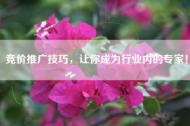 竞价推广技巧，让你成为行业内的专家！