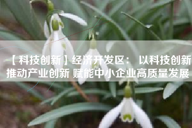 【科技创新】经济开发区： 以科技创新推动产业创新 赋能中小企业高质量发展