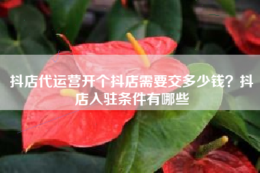 抖店代运营开个抖店需要交多少钱？抖店入驻条件有哪些