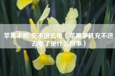 苹果手机 充不进去电（苹果手机充不进去电了是什么回事）