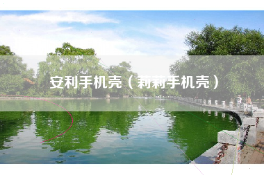 安利手机壳（莉莉手机壳）