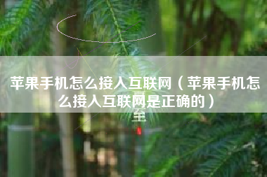 苹果手机怎么接入互联网（苹果手机怎么接入互联网是正确的）