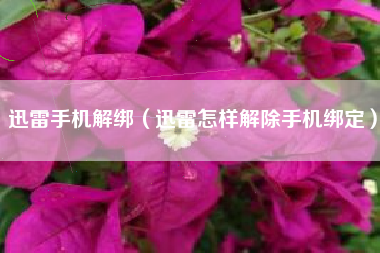 迅雷手机解绑（迅雷怎样解除手机绑定）