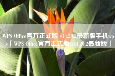 WPS Office官方正式版 v14.20.2最新版手机wps「WPS Office官方正式版 v14.20.2最新版」
