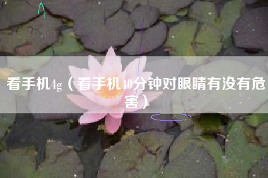 看手机4g（看手机40分钟对眼睛有没有危害）