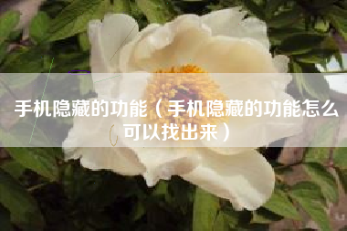 手机隐藏的功能（手机隐藏的功能怎么可以找出来）