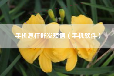 手机怎样群发短信（手机软件）