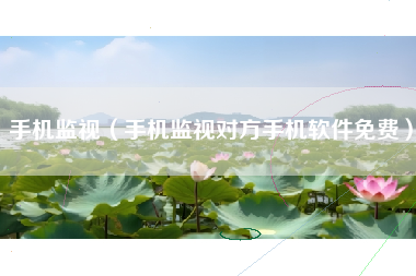 手机监视（手机监视对方手机软件免费）