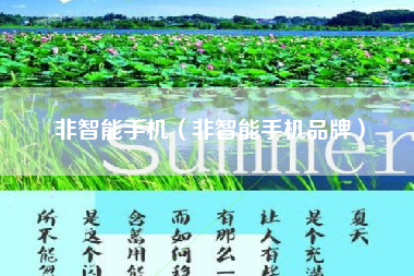 非智能手机（非智能手机品牌）