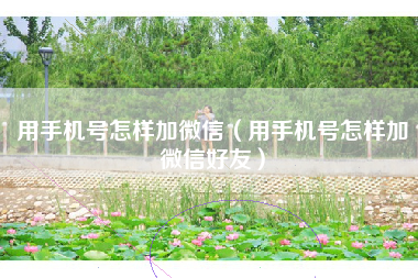 用手机号怎样加微信（用手机号怎样加微信好友）