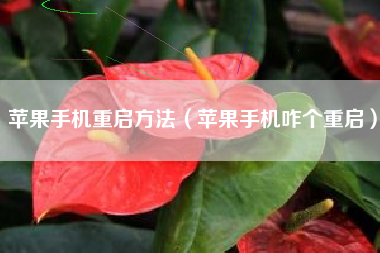 苹果手机重启方法（苹果手机咋个重启）