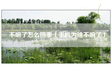 不响了怎么回事（手机为啥不响了）