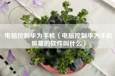 电脑控制华为手机（电脑控制华为手机屏幕的软件叫什么）