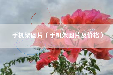 手机架图片（手机架图片及价格）