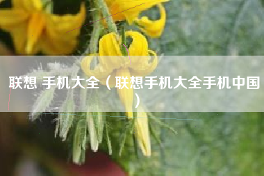 联想 手机大全（联想手机大全手机中国）