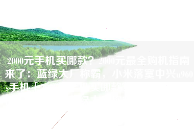 2000元手机买哪款？2000元最全购机指南来了：蓝绿大厂称霸，小米落寞中兴u960s手机「2000元手机买哪款？2000元最全购机指南来了：蓝绿大厂称霸，小米落寞」