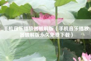 手机音乐播放器破解版（手机音乐播放器破解版永久免费下载）
