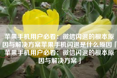 苹果手机用户必看：微信闪退的根本原因与解决方案苹果手机闪退是什么原因「苹果手机用户必看：微信闪退的根本原因与解决方案」