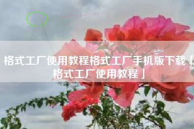 格式工厂使用教程格式工厂手机版下载「格式工厂使用教程」