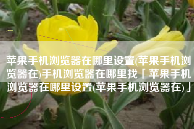 苹果手机浏览器在哪里设置(苹果手机浏览器在)手机浏览器在哪里找「苹果手机浏览器在哪里设置(苹果手机浏览器在)」
