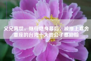 父兄离世，继母隐身幕后，被推上寒舍董座的台湾十大贵公子蔡伯翰
