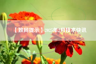 【致同提示】2025年2月技术快讯