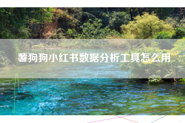 薯狗狗小红书数据分析工具怎么用